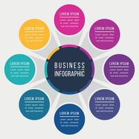 Infographic design circle 8 steps or options business information colored template vector