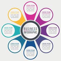 Infographics design 8 options or steps business information colorful template vector