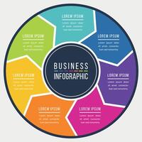 Infographic design circle 7 steps or elements business information colored template vector