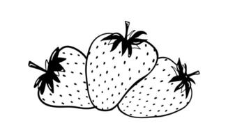 Doodle strawberry. Three cross elements. Black hand drawn abstract fruit with leaves. Sketch berry drawing vector