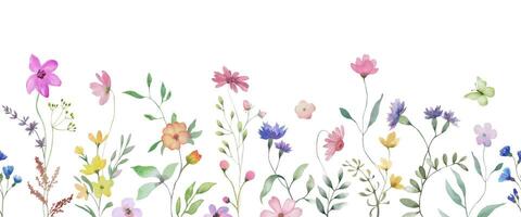 Seamless watercolor border. Hand drawn floral illustration isolated on white background. vector