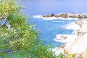 Beautiful view on a sea with blue water and waves with branches of pine trees on foreground. photo