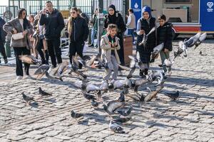 Estanbul, Turquía - diciembre 29, 2022. animado ciudad cuadrado con palomas, gente, y arquitectónico belleza. foto