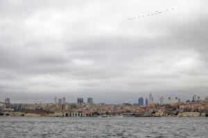 Estanbul, Turquía - diciembre 28, 2022. paisaje urbano con gansos volador y bósforo en primer plano. foto