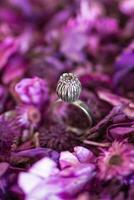 Beautiful silver ring with pink stone on a background of dry purple flowers. Handcraft precious item. photo