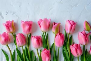 A row of pink flowers tulip are arranged in a line on a white background photo