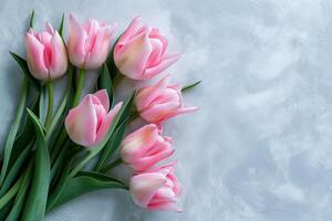 suave rosado y blanco tulipanes arreglado en un texturizado gris fondo, un primavera deleite foto