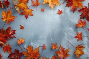 A close up of autumn leaves on a grey background photo