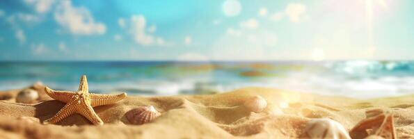 A beach scene with a starfish and a bunch of shells photo