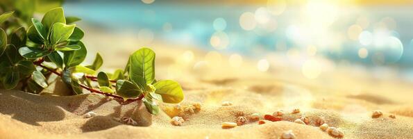 Sunny beach scene with foliage, sparkling sand, and bokeh light effect photo