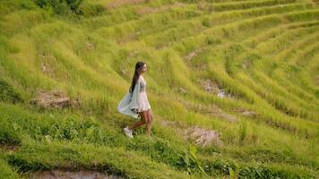 niña en un falda con largo pelo desciende entre el arroz gradas video