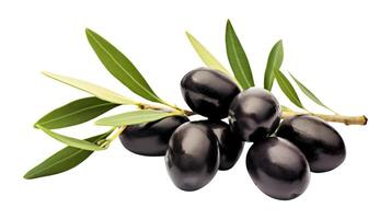 black olives with leaves on a white background photo