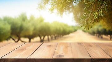 an empty table in front of a field of olive trees photo