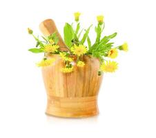 Isolated Mortar and Pestle on white background. photo