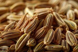 Macro photograph of a textured heap of organic cumin seeds with natural shadows photo