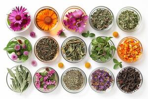 Assorted herbal tea ingredients in glass bowls photo