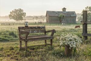 Serene farm scene with a wooden bench, flowers, and grazing horses at sunrise photo