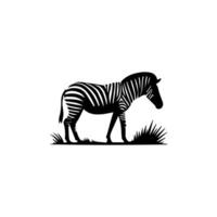 cebra en pie silueta, cebra animal zoo icono logo vector