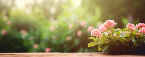 Banner of blooming pink hydrangeas on wooden table with green backdrop photo