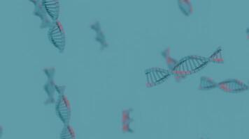 ein Gruppe von DNA Stränge sind gezeigt im das Luft video