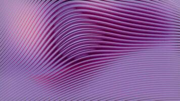 ein lila und Rosa abstrakt Hintergrund mit wellig Linien video