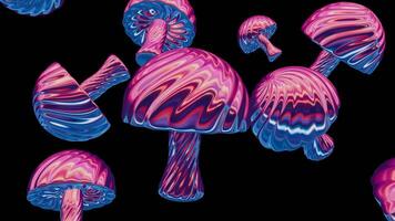 une groupe de rose et bleu champignons sur une noir Contexte video