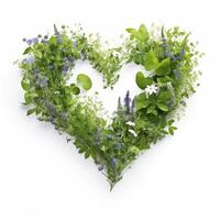 Lush green foliage and blue flowers creating a heart on white background photo