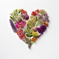 Natural heart on white background made of assorted wildflowers and foliage photo