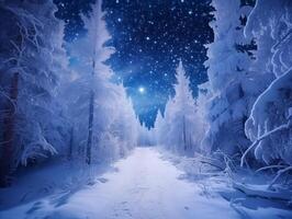 Fairytale forest covered with snow in the moonlight. Winter landscape. New Year concept photo