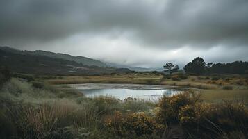 Overcast wetland landscape with reflective pond amid grassy dunes photo