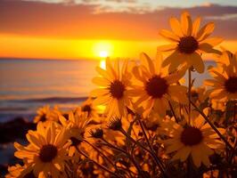 Golden sunset backlighting wildflowers on a tranquil ocean shoreline photo