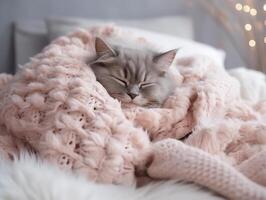 Cozy winter home with cat sleeping on bed on warm blanket close-up. Authentic house interior photo