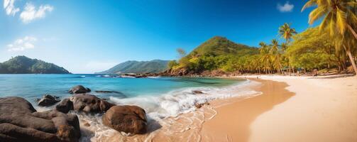 Panoramic tropical beach banner with palm trees and clear turquoise water photo