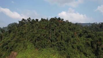 aéreo ver de el lozano, denso pabellón de el anamita rango en Vietnam, exhibiendo el regiones natural belleza y biodiversidad video