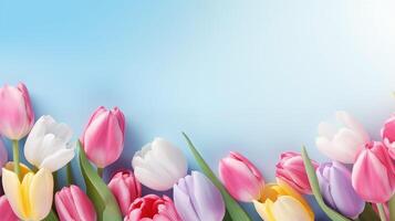 Flower background with copy space featuring soft tulips against blue sky photo