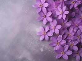 Lavender floral array background with copy space on a textured surface photo