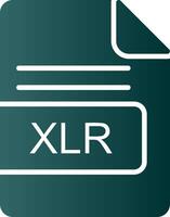 XLR File Format Glyph Gradient Icon vector