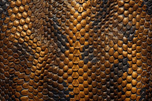 Snake Scale Pattern Stock Photos, Images and Backgrounds for Free Download