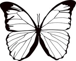 monocromo mariposa hermosa insecto con grande negro alas. dibujo de un volador escarabajo.adecuado para arenado, láser y trazador corte. vector