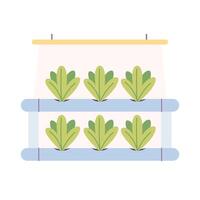 Hydroponics technology for plants growing. Vertical farming. Smart farm vector