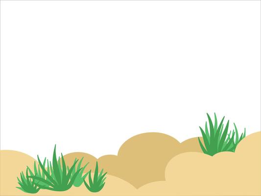 Tropical Rainforest Land Background Illustration
