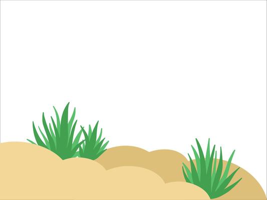 Rainforest Land Background