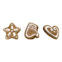 pan de jengibre galletas de estrella, corazón y mitón formas acuarela ilustración conjunto para Navidad y nuevo año Días festivos vector