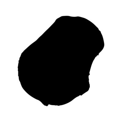 isolated simplified illustration icon with black silhouette of Nauru map. White background