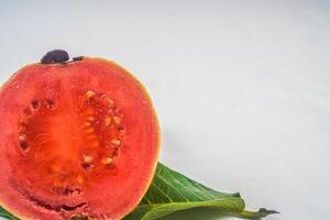 Guava isolated. Collection of red fleshed guava fruit with yellowish green skin on a leaf isolated on a white background. photo