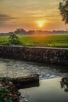 Close view of the water flow in a small river for irrigating rice fields, with a sunset background with empty space for advertising. photo