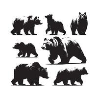 bear silhouette isolated on the white background vector