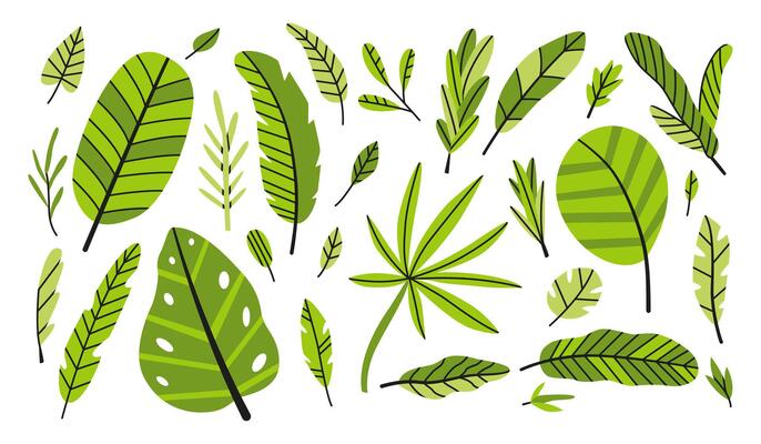 Collection of colorful tropical leaves
