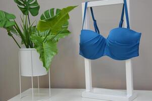 A turquoise women's swimsuit bra hangs on a stand next to a green indoor flower. Beachwear. photo