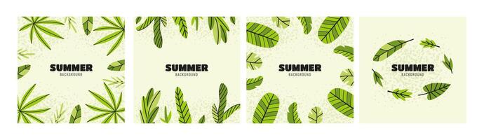 Four backgrounds with tropical leaves vector